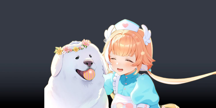 PillowDear raises over $35k for charity
